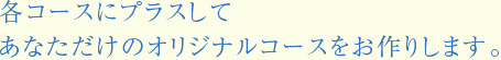 各コースにプラスしてあなただけのオリジナルコースをお作りします。